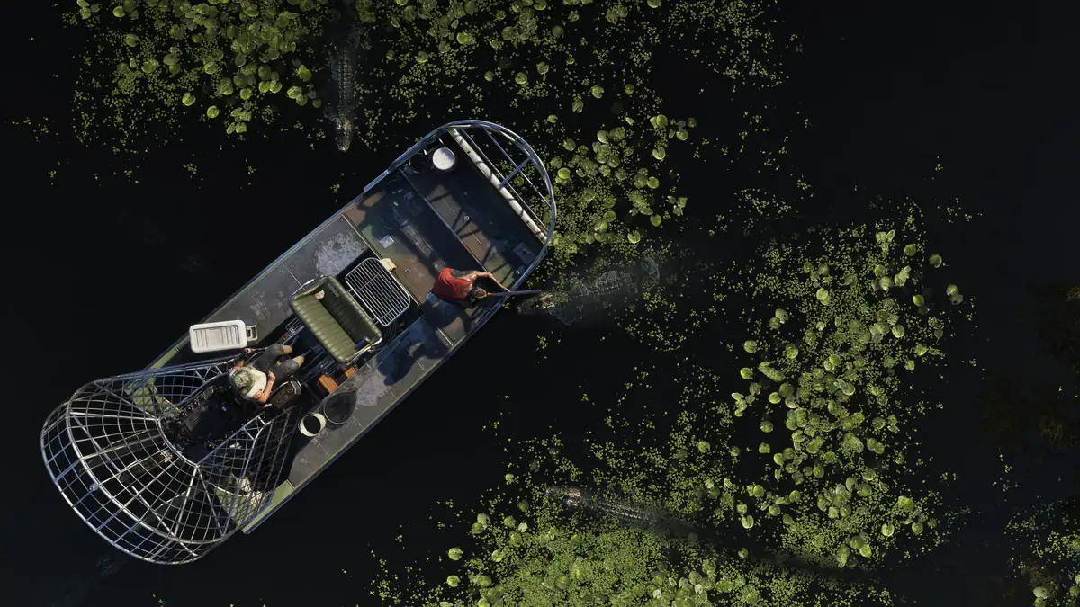 the Grassrivers wetlands in an official GTA 6 screenshot
